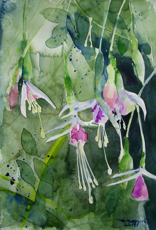 Fuchsia — foto 1