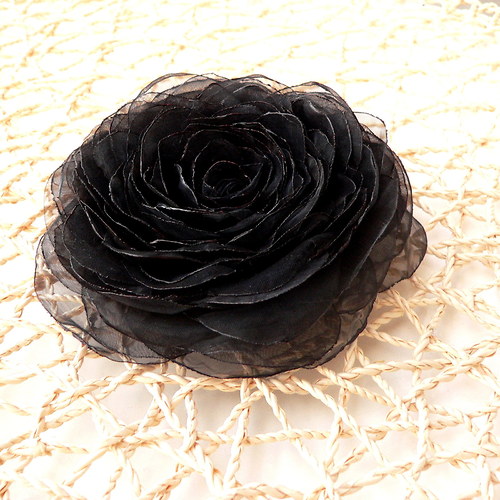 Where the wild roses grow — foto 1