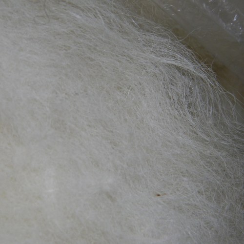 Rouno 300 g pro Terku — foto 1
