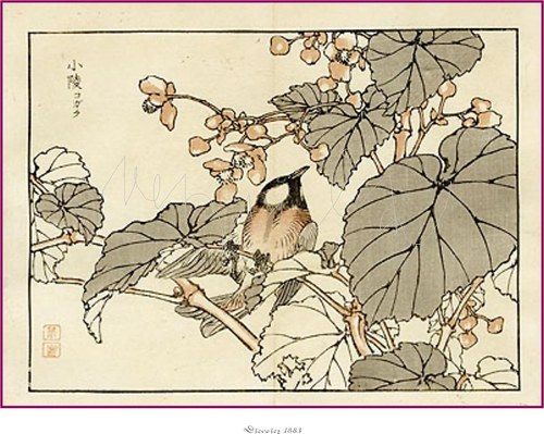 Japonské dřevořezy IV — foto 1
