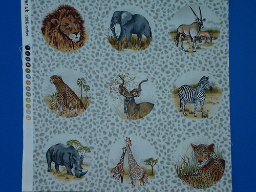 Panel - Safari — foto 1