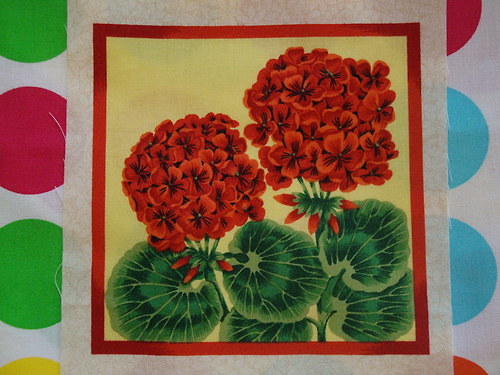Panel - Jarní květy velké-pelargonie — foto 1