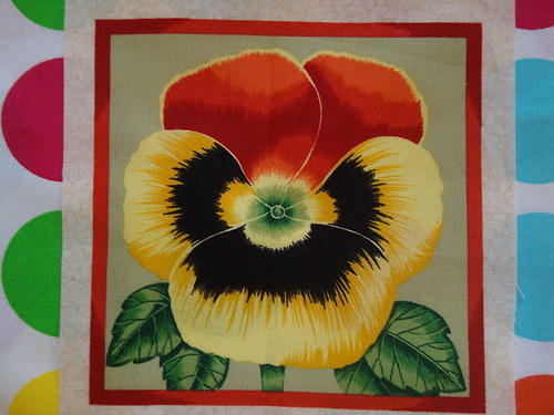 Panel - Jarní květy velké-maceška — foto 1