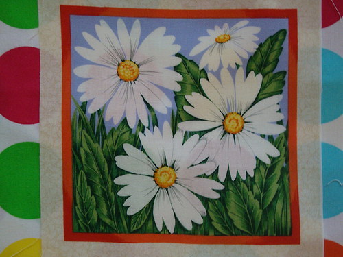 Panel - Jarní květy velké-kopretiny — foto 1