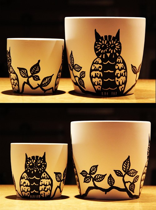 Owls — foto 1