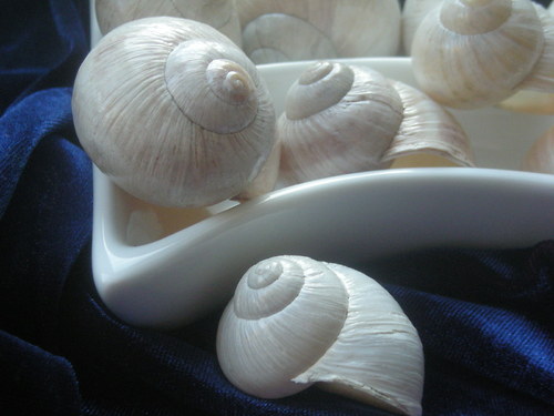 Ulity - alabastrové — foto 1