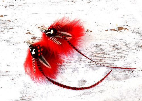 Red Kitty — foto 1