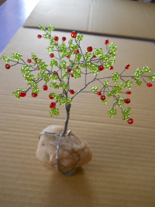 Apple tree — foto 1