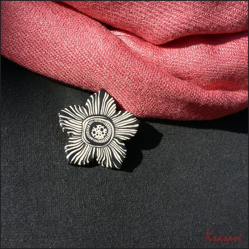 Zebří kytkobrož — foto 1