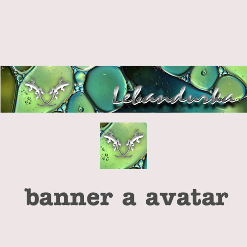 BANNER A AVATAR / úpravy na přání — foto 1
