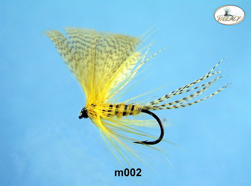 M002 — foto 1