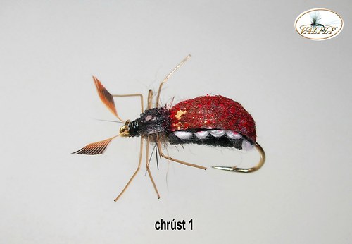 P.chrúst 1 — foto 1
