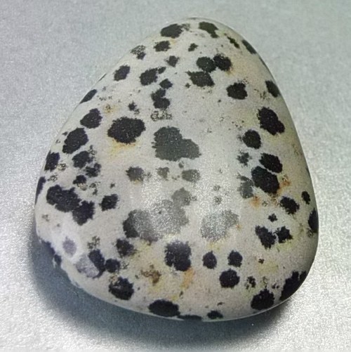 Jaspis dalmatin D299 — foto 1