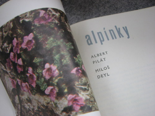 Alpínky, A. Pilát, M. Deyl, 1964