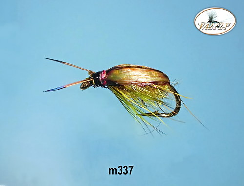 M337 — foto 1