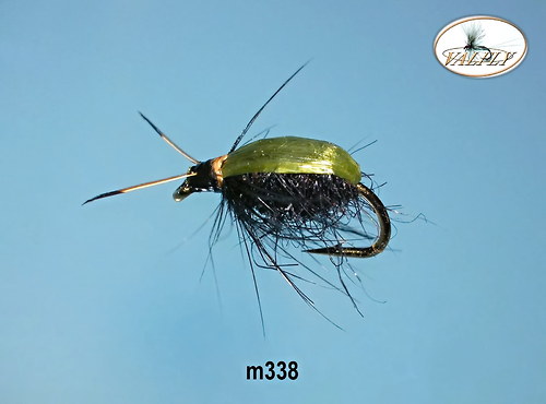 M338 — foto 1