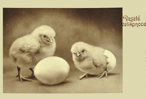Probuzená III. - veselé velikonoce — foto 1