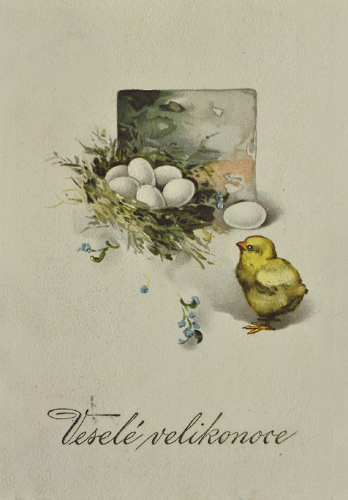 Probuzená IV. - veselé velikonoce — foto 1