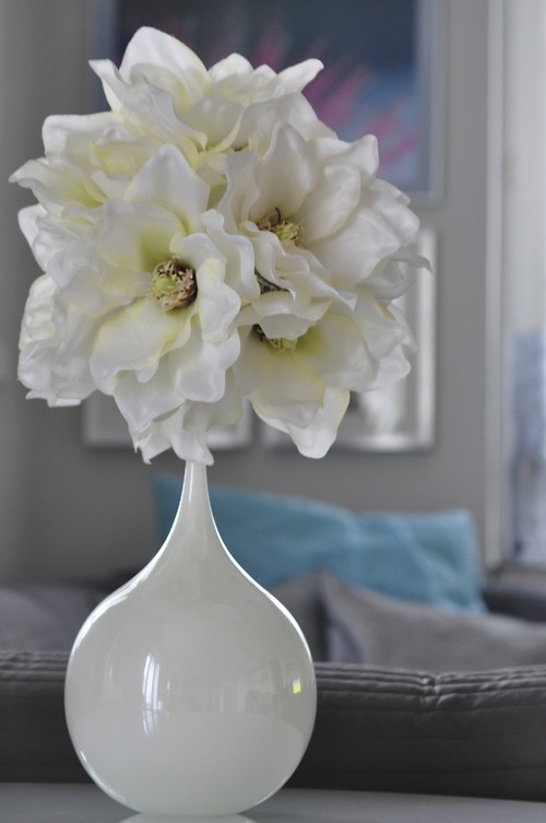 Magnoliovník — foto 1