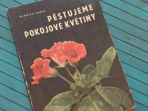 Pěstujeme pokojové květiny