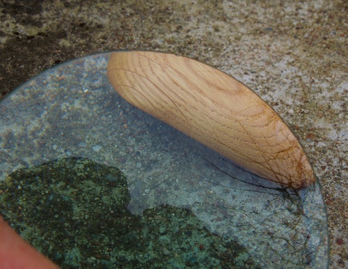 Pod lupou - spona — foto 1