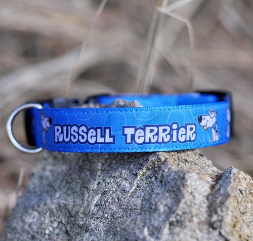 Obojek Jack a Parson Russell teriér modrý — foto 1
