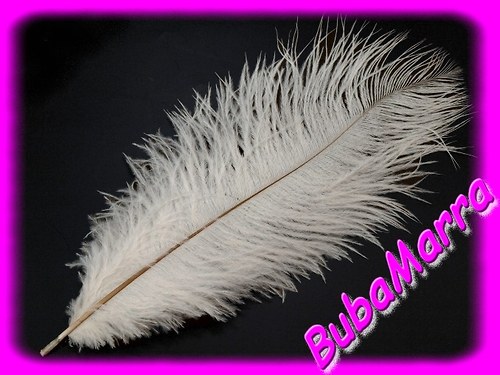 Pštrosí peří ~ pero ~ délka cca 25cm ~ bílé — foto 1