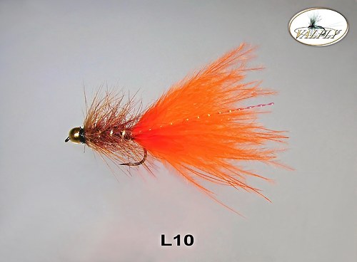 L10 — foto 1
