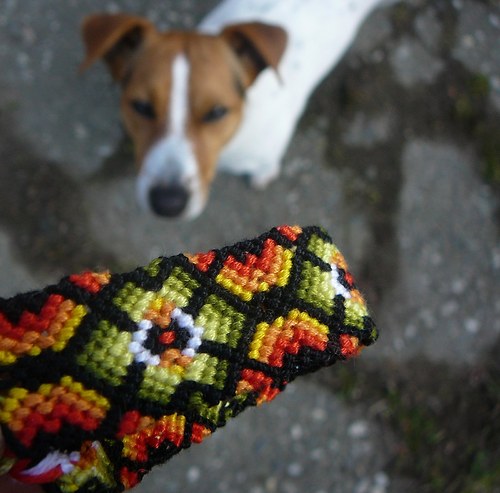 Spring is coming :-) — foto 1