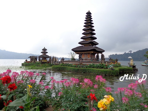 Bali..