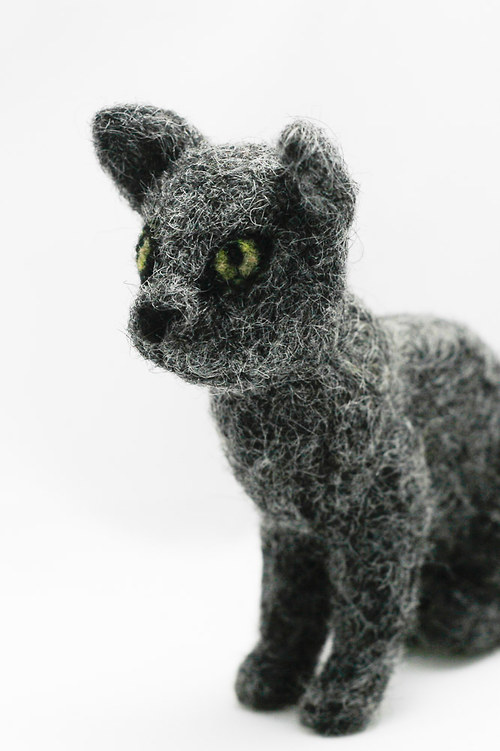Ruská modrá s modrou krví — foto 1