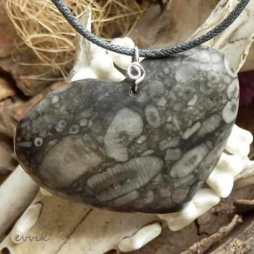 Prvohorní crinoidy - velké srdce — foto 1