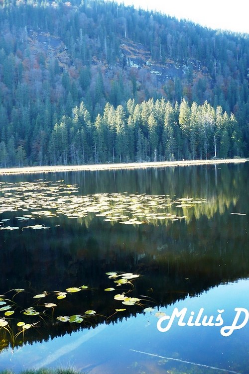 Německo Arbersee