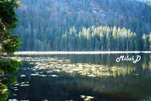 Německo Arbersee