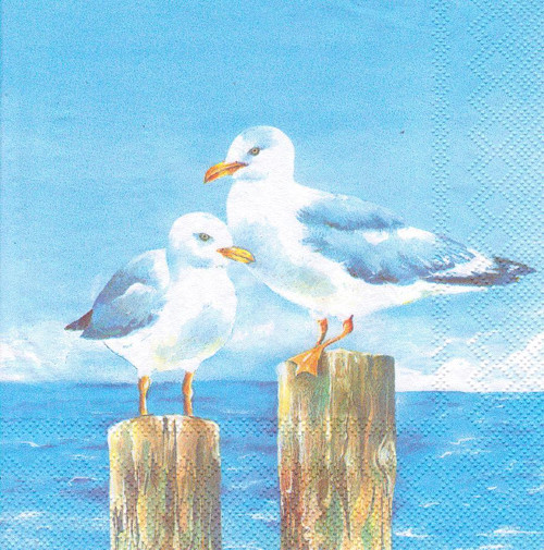 Ubrousek - rackové
