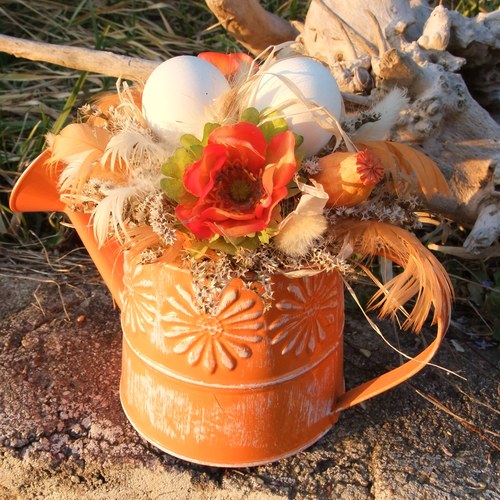 Oranžová jarní konývka — foto 1