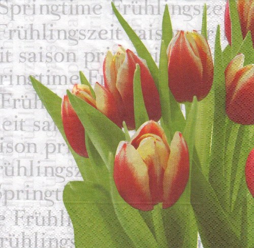 Ubrousek - tulipány