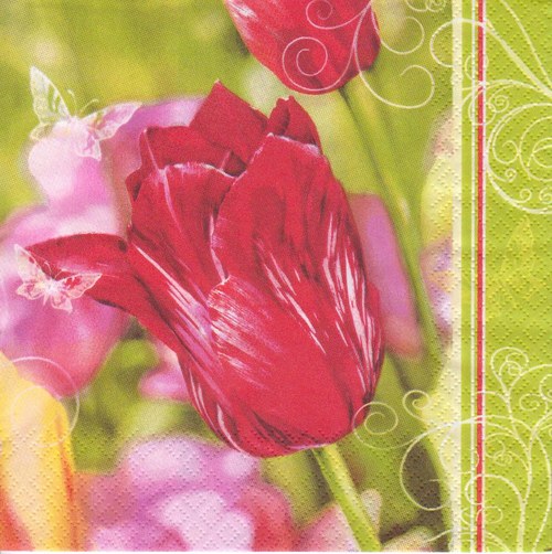 Ubrousek - tulipány