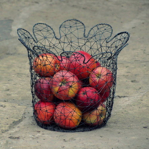 Kvetoucí košík — foto 1