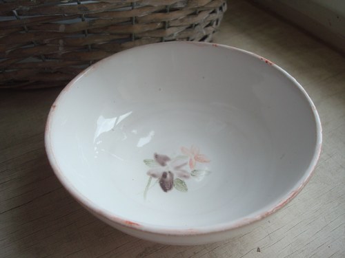 Miska Rosa Ile de Bourbon čemeřice — foto 1