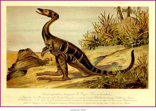 Prehistorická zvířata