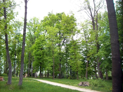 Rezervace " Anyzovka" — foto 1