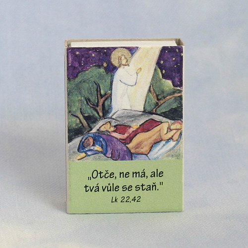 "Otče, ne má, ale Tvá vůle se staň." — foto 1