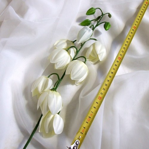 Yucca — foto 1