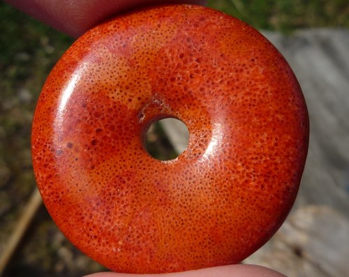 Donut -korál houbový P7775 — foto 1