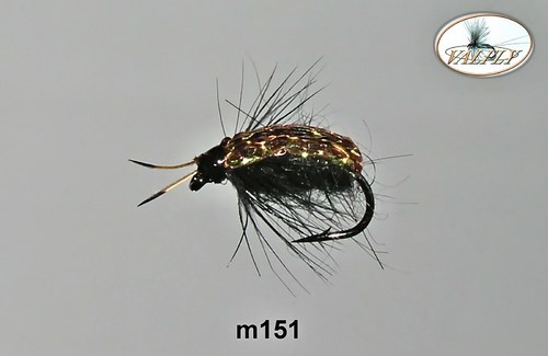 M151 — foto 1