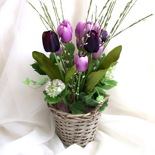 Fialové tulipány — foto 1