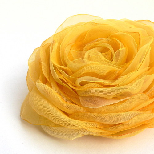 Where the wild roses grow — foto 1