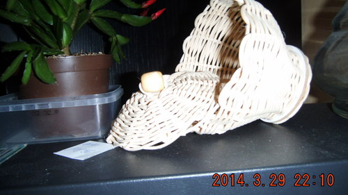 Košík s pokličkou — foto 1