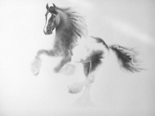 Equine Element - Big Cloudy — foto 1